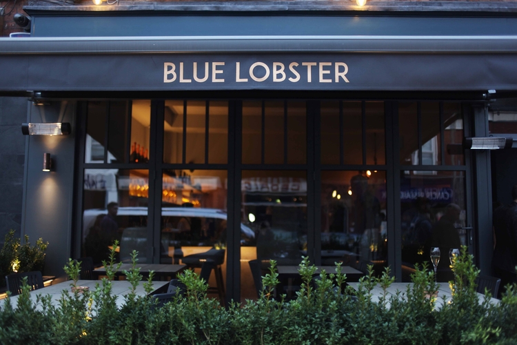 170404 Blue Lobster 7104