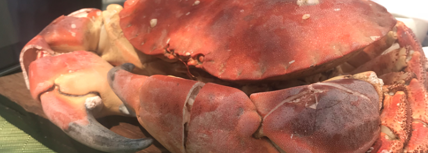 2018 07 20 Crab