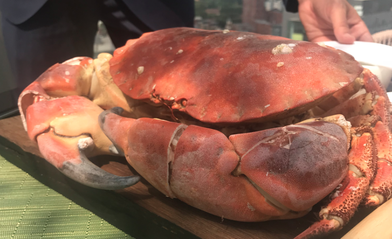 2018 07 20 Crab