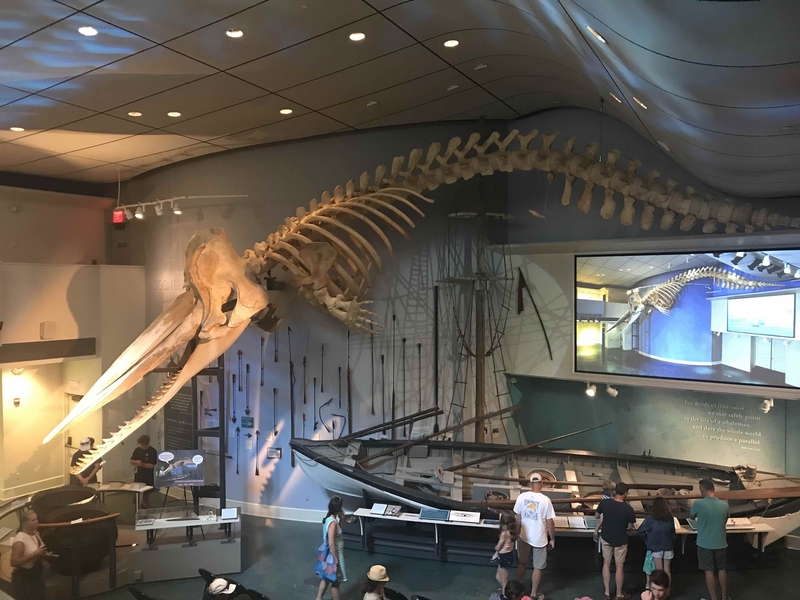 180824 Whaling Museum