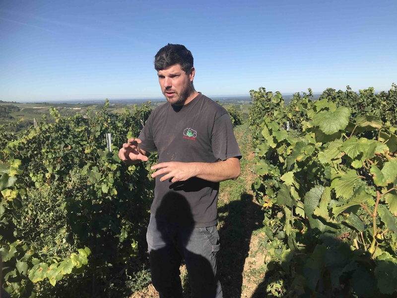 2019 11 10 Jura Winemaker Damien